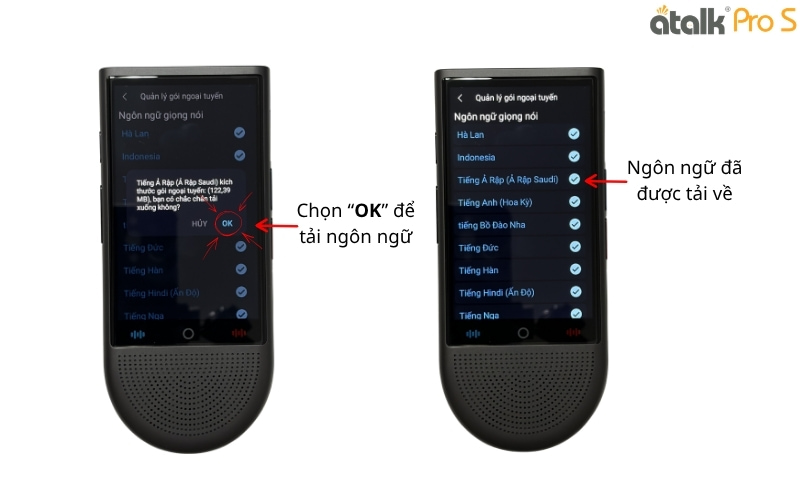 Ngôn Ngữ Đã Được Tải Về