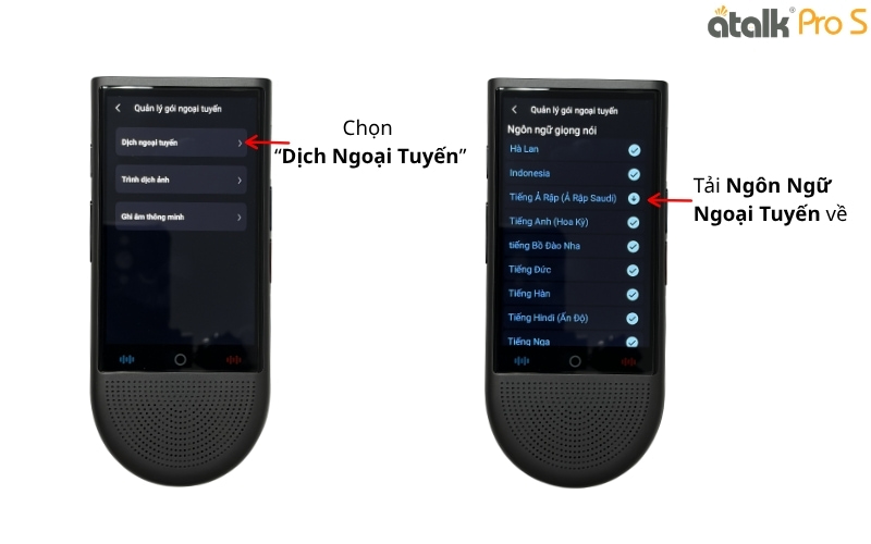 Tải Ngôn Ngữ Ngoại Tuyến